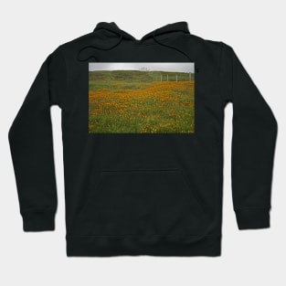 Orange field Hoodie